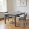 Hivvago 48" Gray Solid Wood Dining Table In Gray