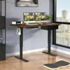 Hivvago 48-inch Electric Height Adjustable Standing Desk With Control Panel-rustic Brown