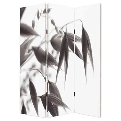 Hivvago 48" X 72" Multi Color Wood Canvas Screen