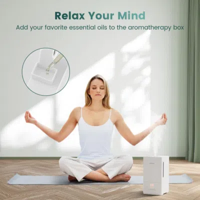 Hivvago 4l Ultrasonic Humidifier With Essential Oil Diffuser And 2 Mist Levels-white