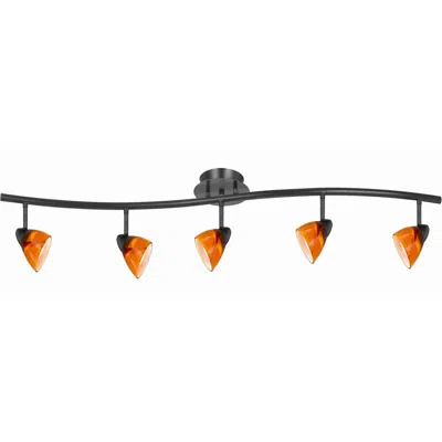 Hivvago 5 Light 120v Metal Track Light Fixture With Glass Shade, Black And Orange