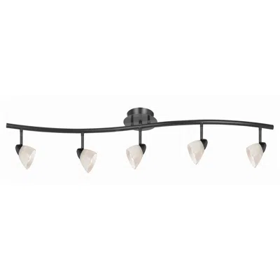 Hivvago 5 Light 120v Metal Track Light Fixture With Glass Shade, Black And White