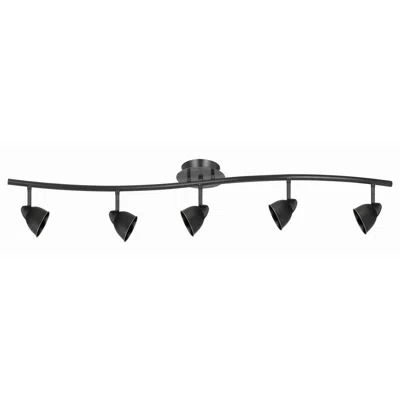 Hivvago 5 Light 120v Metal Track Light Fixture With Round Shade, Black