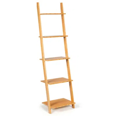 Hivvago 5-tier Modern Bamboo Wall-leaning Display Ladder Bookshelf