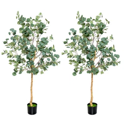 Hivvago 5.5 Feet Artificial Eucalyptus Tree With 517 Silver Dollar Leaves-2 Pack