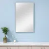 Hivvago 59" Silver Metal Framed Accent Mirror In White