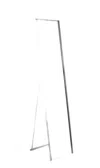 Hivvago 59" Silver Metal Framed Cheval Standing Mirror In Transparent