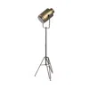 Hivvago 61" Gold Led Floor Lamp With Gold Metal Shade In Gold