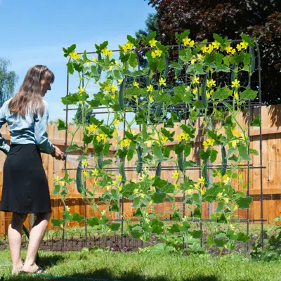 Hivvago 71 X 71 Inch Uhaped Tall Garden Arched Trellis For Climbing Plants