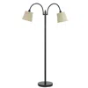 Hivvago 80 Watt Metal Floor Lamp With Dual Gooseneck And Uno Style Shades, Black