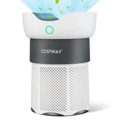Hivvago Air Purifier With Sleep Mode For Home Office Up To 1300 Sq Ft In White