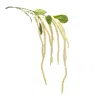 Hivvago Amaranthus Floral Stem (set Of 4) In Green