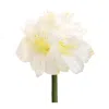 Hivvago Amaryllis Elegance - Set Of 6 In White
