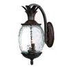 Hivvago Antique Bronze Hanging Pineapple Wall Light In Brown