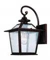 Hivvago Antique Bronze Terrarium Shape Wall Light