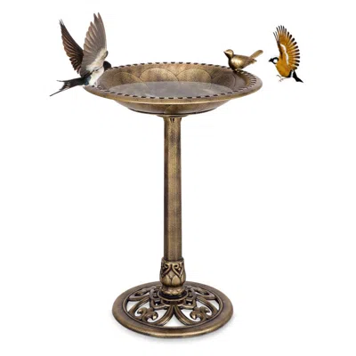 Hivvago Antique Gold Freestanding Pedestal Bird Bath Feeder In Brown