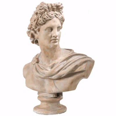 Hivvago Antiquely Composed Placidia Bust Statue In Neutral