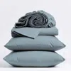 Hivvago Aqua Blue 100-percent Certified Organic Cotton Sheet Set In Blue