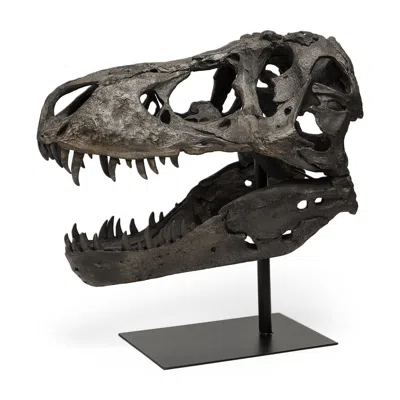 Hivvago Authentic Replica T Rex Skull Sculpture In Black