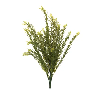 Hivvago Baby Tears Foliage Bush (set Of 6) In Green