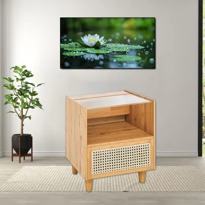Hivvago Bamboo-inspired Bedside Cabinet With Woven Rattan Front And Wooden Support In Neutral