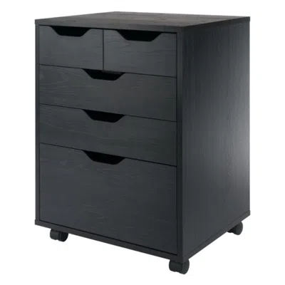 Hivvago Bins & Drawers Storage Mobile Cabinet Black