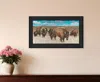 Hivvago Bison Herd Black Framed Print Wall Art In Multi