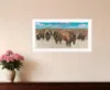 Hivvago Bison Herd White Framed Print Wall Art In Multi