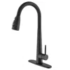 Hivvago Kitchen Faucet With Pull Down Sprayer Matte Black In Black