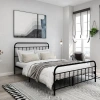 Hivvago Black Metal Platform Bed Frame With Rounded Headboard Footboard In Black