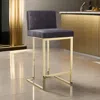 Hivvago Boly 26 Inch Counter Stool Chair, Cushioned Gray Velvet, Gold Cantilever In Gold