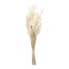 Hivvago Bunny Tail Bundle (set Of 2) In Neutral