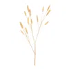 Hivvago Bunny Tail Spray (set Of 6) In Gold