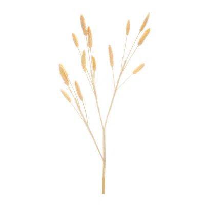 Hivvago Bunny Tail Spray (set Of 6) In Gold
