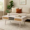 Hivvago Camy Coffee Table, Brown Cane Woven Doors, Open Shelf, White 48 Inch