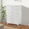 Hivvago Chest With 5 Drawers And Wooden Frame, White In White