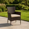 Hivvago Clem Dining Chair Set Of 2, Beige, Outdoor Dark Brown Wicker, Iron Frame