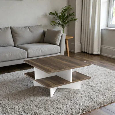 Hivvago Contemporary 2-tier Table With Organized Storage Spaces In Brown