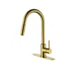 Hivvago Convenient Kitchen Faucet With Pull-down Sprayer - Gold