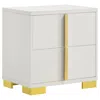 Hivvago Dex 22 Inch Nightstand, 2 Drawers With Long Vertical Gold Handles, White In White