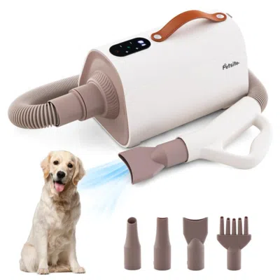 Hivvago Dog Cat Hair Blower With Negative Ion Function And Adjustable Temperature In White