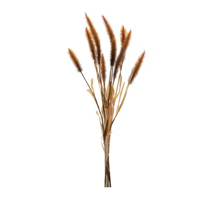 Hivvago Fall Foxtail Grass Bundle (set Of 6) In Brown