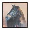 Hivvago Framed Horse Canvas Art 24"sq In Multi