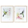 Hivvago Framed Hummingbird Print (set Of 2) In Multi