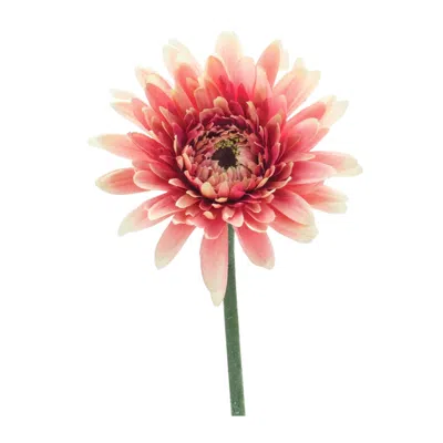 Hivvago Gerbera Daisy Floral Stem (set Of 6) In Multi