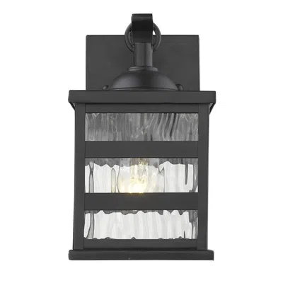 Hivvago Glass Panel Matte Black Outdoor Cage Light