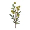 Hivvago Green Faux Pod Branches (set Of 6) In Green