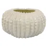 Hivvago Harry Round Planter With Textured Design, Glossy White Ceramic 13 Inch In Neutral