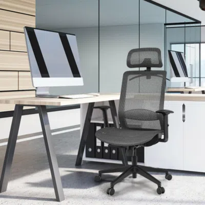 Hivvago Height Adjustable Ergonomic High Back Mesh Office Chair With Hange-gray