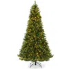 Hivvago Hivvag 8 Feet Hinged Christmas Tree With Pvc Branch Tips Warm White Led Lights In Green